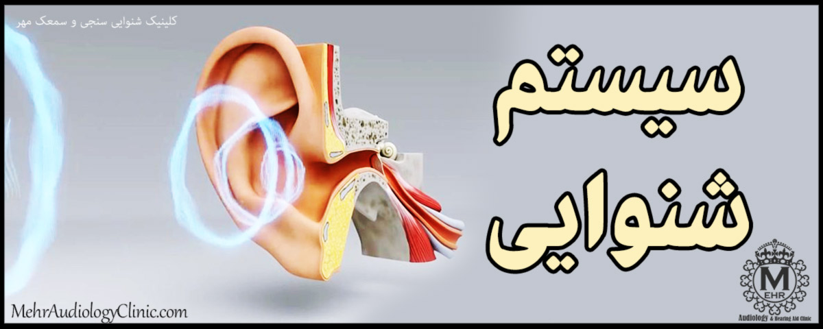 سیستم شنوایی انسان